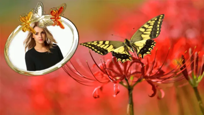 Butterfly Frames android App screenshot 0